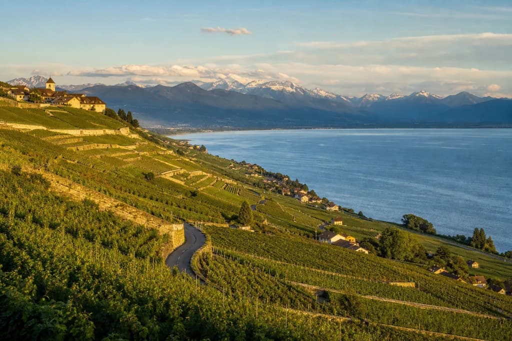 Vineyards above Lake Neuchâtel for an English Swiss wine tourism guide